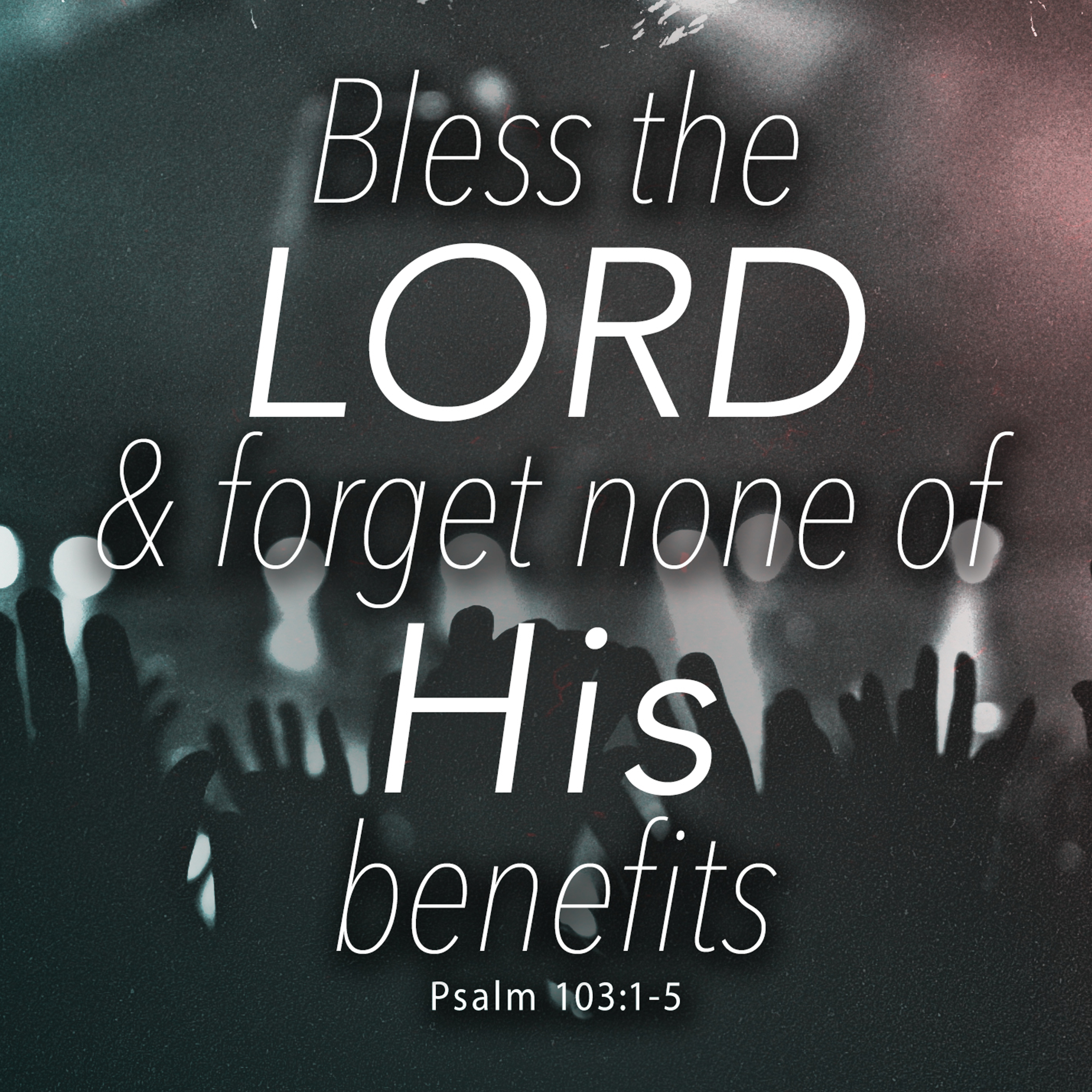 Bless the Lord and Forget None of His Benefits (Psalm 103:1-5) - Short Studies episode artwork