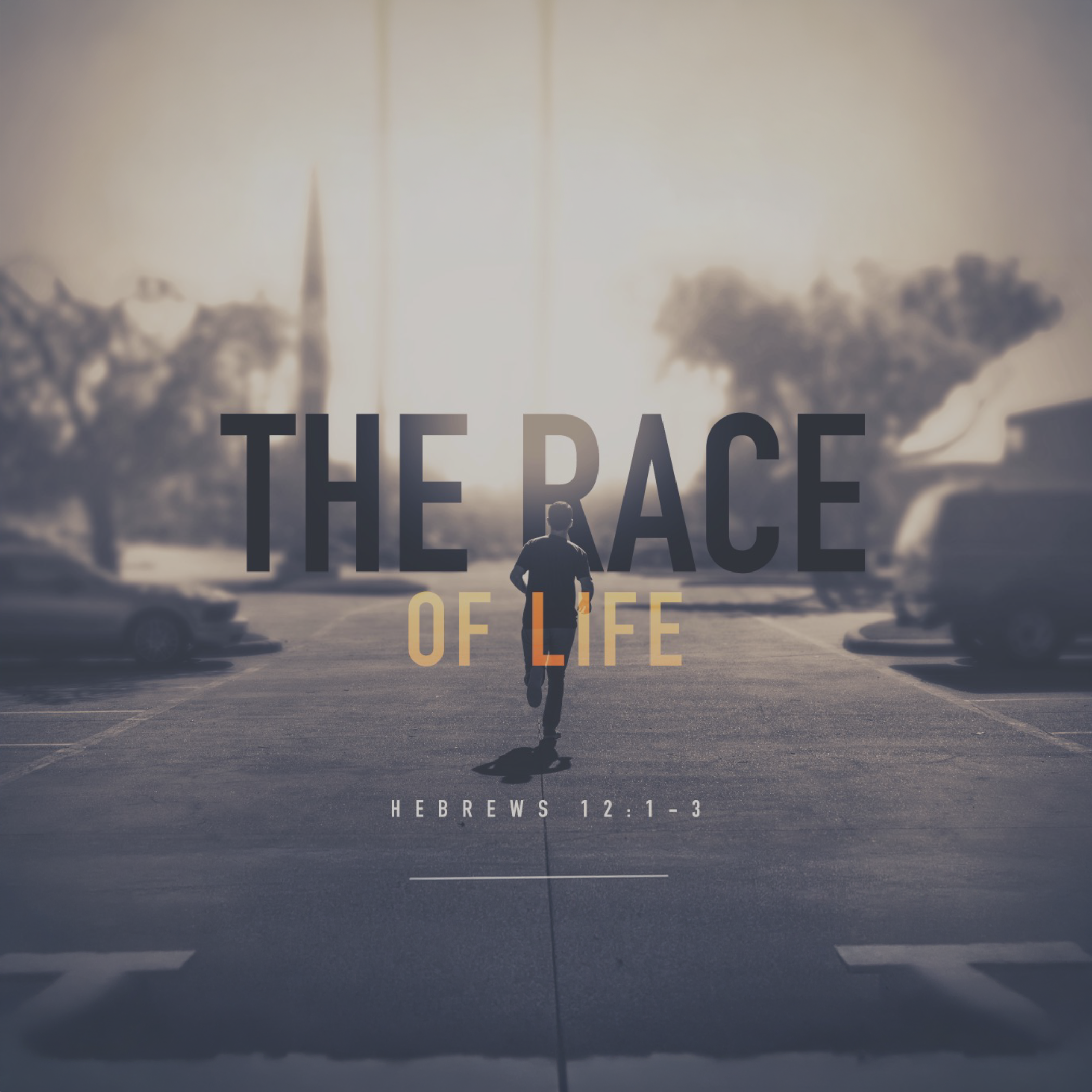 The Race of Life - Short Studies episode artwork