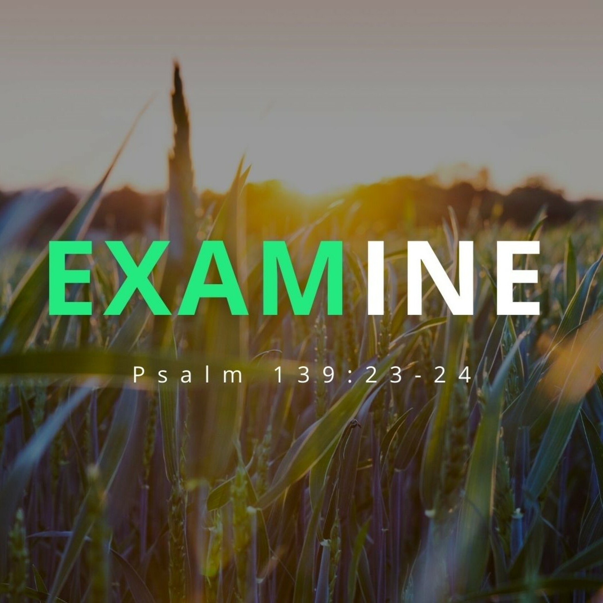 Examine - Short Studies episode artwork